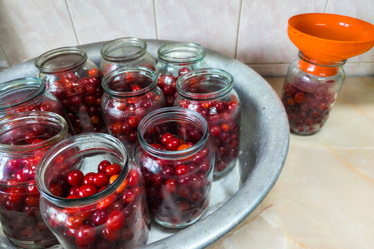 Multiple cherries are being canned in glass jars using a funnel and aluminum basin. The calm kitchen setting creates a domestic atmosphere filled with preparation.