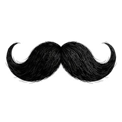 A finely rendered, black, curved mustache with textured hair against a stark, dark background