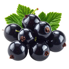 Cluster of shiny, dark black berries with green leaves, isolated on black background