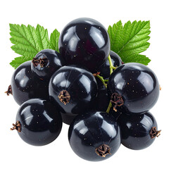 Close-up of glossy black berries with vibrant green leaves. Isolated on black background