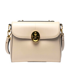 Creamy, rectangular handbag with gold hardware, chain strap, and front clasp against a black background