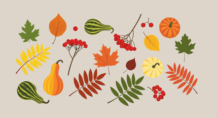 A vibrant collection of autumn leaves pumpkins and berries arranged decoratively.
