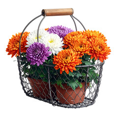 Wrought iron basket overflowing with vibrant orange, purple, and white chrysanthemums