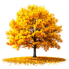 Isolated deciduous tree, vibrant yellow foliage, fall season, leaves covering ground