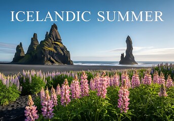 Icelandic Summer - Lupines Bloom at Reynisfjara Black Sand Beach.