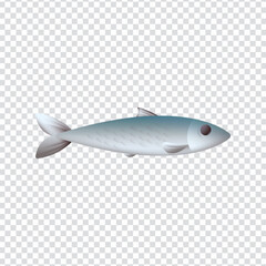 Sardine Fish Icon