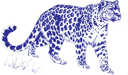 Hand Drawn Dark Pencil Leopard Illustration | Full Body Big Cat Sketch on White Background for Nature Posters and Artistic Decor