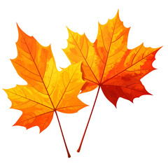 Obraz premium Two vibrant maple leaves, showcasing vivid autumn colors against a dark background