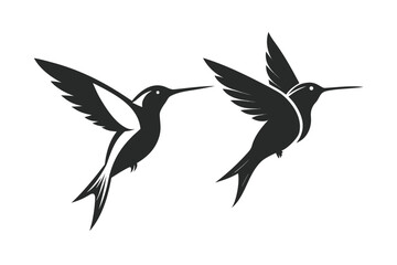 Obraz premium Flying hummingbird vector silhouette illustration
