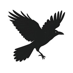 Obraz premium Silhouette of a flying crow