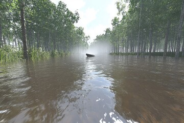 Flooded forest path, abandoned boat