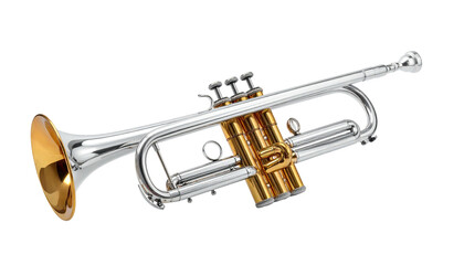Fototapeta premium Polished silver and gold brass instrument on a black background, angled