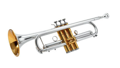 Polished silver and gold brass instrument on a black background, angled