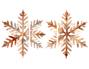 Two symmetrical snowflakes of autumnal colors on a black background