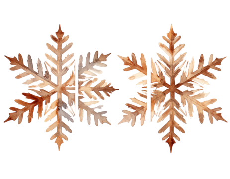 Two symmetrical snowflakes of autumnal colors on a black background