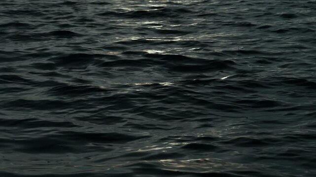 The waves of the lake, sea, ocean, illuminated by moonlight. The surface of the water at dusk. Moonlight on the water.