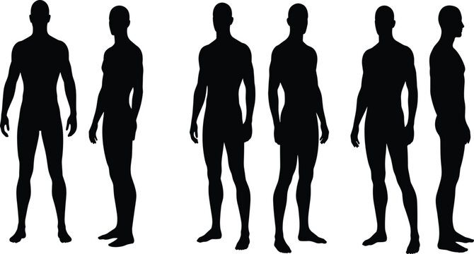 MobileMale human silhouette set, standing poses, front view, side view, anatomy reference, body proportion, character design, vector illustration