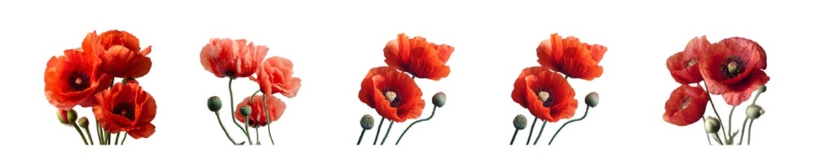 Set of five red poppy flower bouquets in a watercolor style.