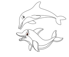Minimal Dolphin Line Art Illustration