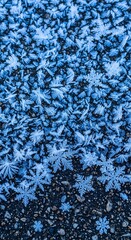 Frozen Beauty - A Close-Up of Delicate Ice Crystals.