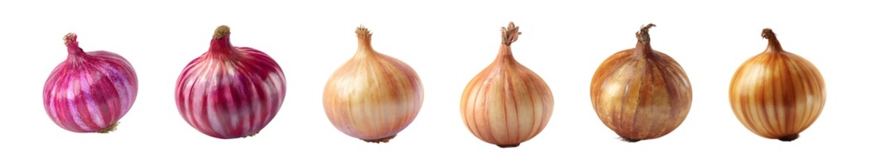 Obraz premium A collection of various fresh onion bulbs isolated on a white background.