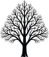 Fototapeta premium Vector silhouette bare tree with branches isolated illustration