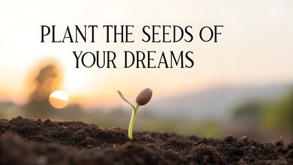 Seed Sprouting From Soil Near Sunset Depicting Growth