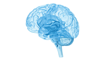 A translucent blue brain image, rendered in profile, against a stark black backdrop