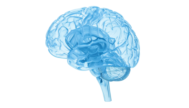 A translucent blue brain image, rendered in profile, against a stark black backdrop