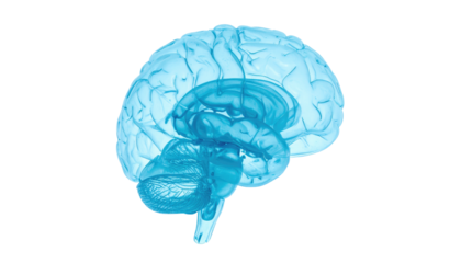 A translucent, cyan-colored human brain rendered in profile, set against black