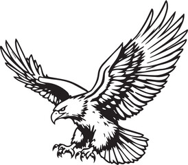 Fototapeta premium Eagle in Flight Vector – Black and White Line Art with Spread Wings, Talons, Feathers, and Fierce Focus