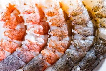 Close up of dotted texture on shrimp 
