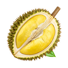 Fototapeta premium A spiky, cut-open tropical fruit reveals creamy yellow segments. One leaf is visible