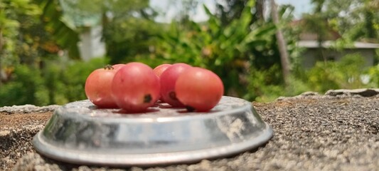 The bright red, round cherries are displayed in a metal container against a backdrop of green trees and a bright outdoor setting.