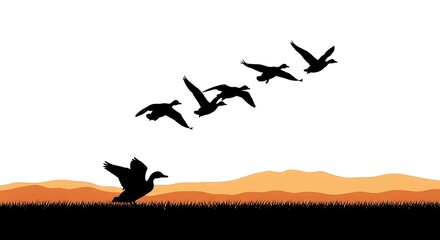 Ducks in Flight - A Silhouette Against the Horizon.