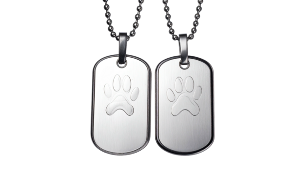 Two matching metallic dog tags with paw print emblems, on beaded chains, against black