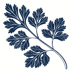 cilantro on white background 