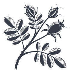 chickpeas with leaves