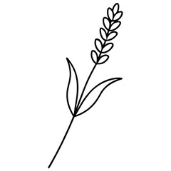 lavender sprig tattoo