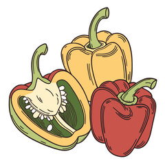 bell pepper on white background 