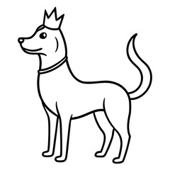 dog crown