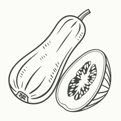 banana squash on white background 