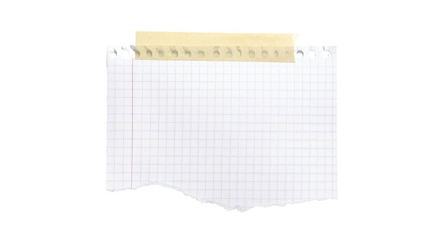Torn grid paper held by tape, with a jagged edge and hole punches, against black