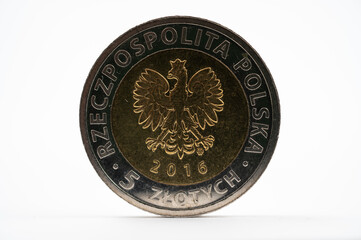 Polish 5 zloty coin 2016 with national eagle emblem on white background.