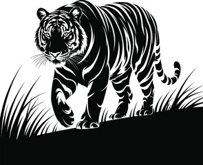 Fototapeta premium Powerful Tiger Stalking Through Grass Vector Illustration