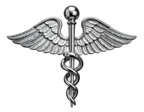Silver medical symbol featuring a winged staff entwined by two serpents
