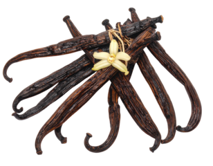Dark, dried pods with a small flower tied together, isolated on black