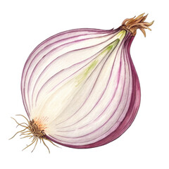Freshly Harvested Onion with Purple and White Layers on Transparent Background