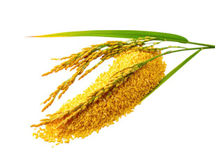 Image depicts a close-up of a pile of golden grains, stalks and leaves on black