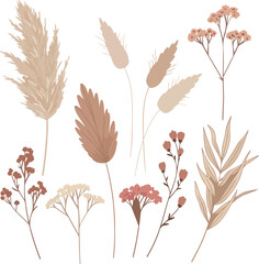Elegant collection of dried pampas grass reeds and flowers.